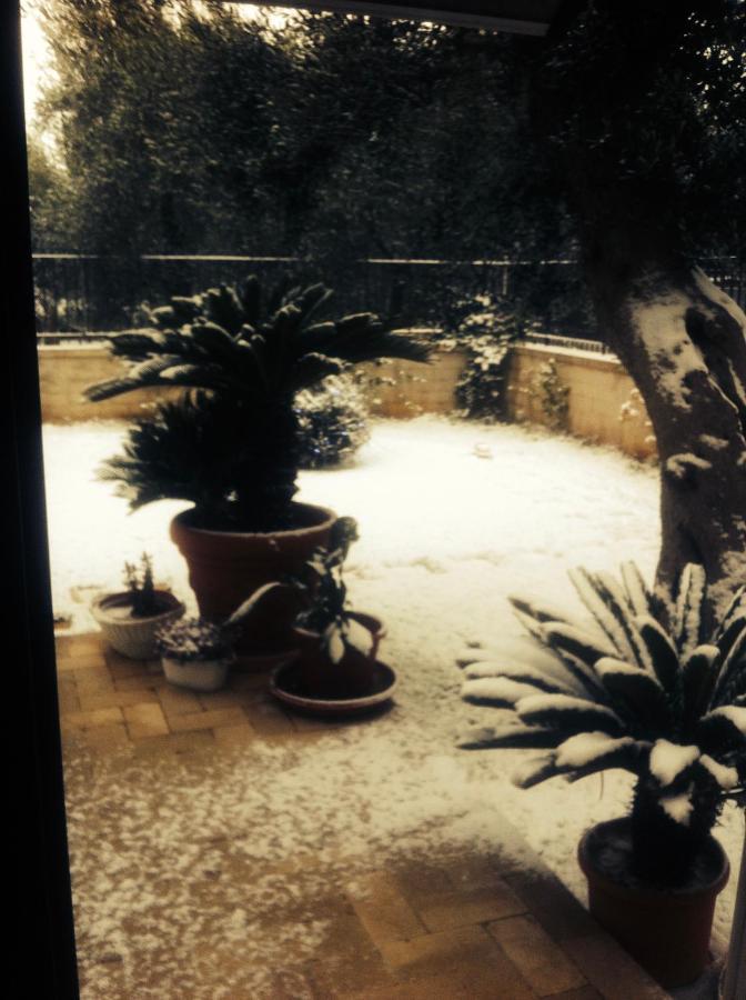 Les Fleurs B&B Bari Exteriér fotografie